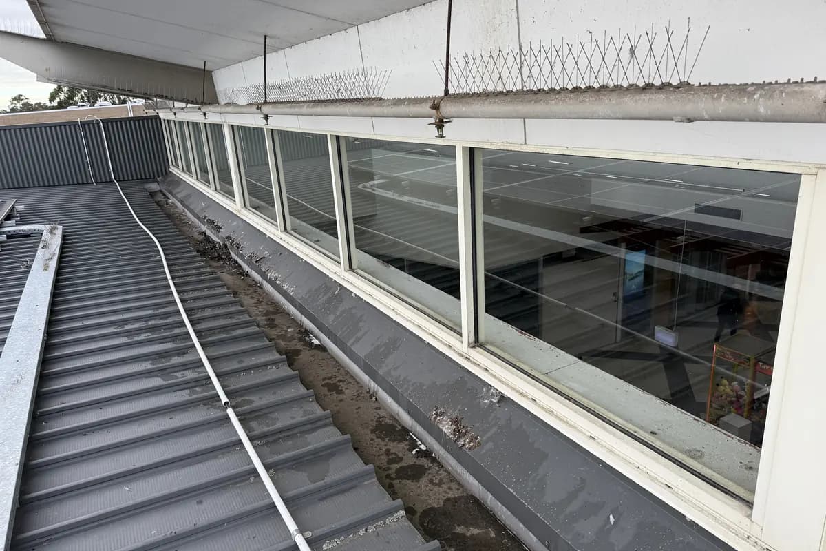 Clean upper-level shopping centre windows running along a metal roof