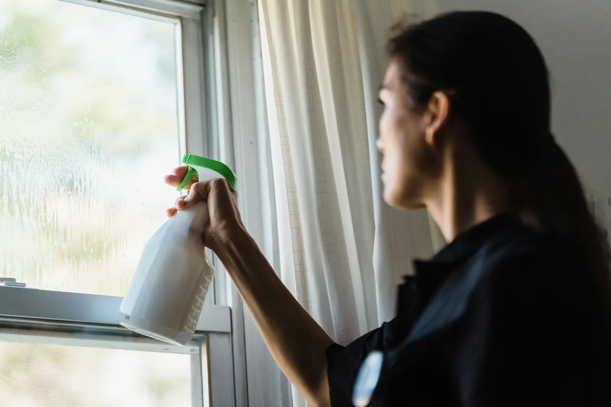 Residential Window Cleaning